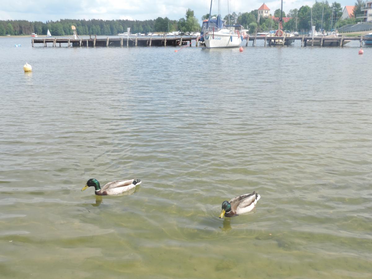 Mazurskie Wzgorze Rydzewo Dış mekan fotoğraf